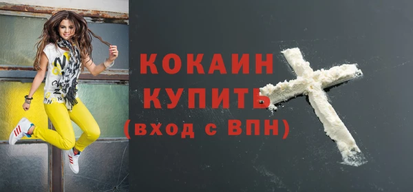 дмт Осташков