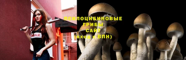 сатива Переславль-Залесский