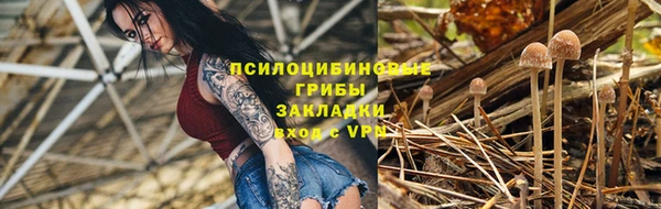 дмт Осташков