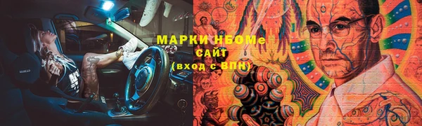 дмт Осташков